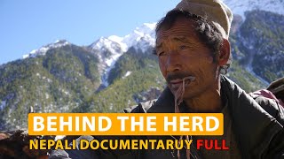 Full Nepali Documentary Behind The Herd an epic story form Karnali region of Nepal Himalayas [upl. by Eatnad]