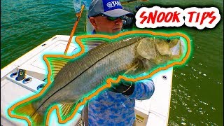 BEST Snook tips youll ever hear [upl. by Bjorn491]