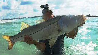 Snook Fishing Tips [upl. by Agon]