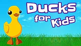 Ducks for Kids [upl. by Margie]