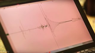 How Does a Seismometer Work [upl. by Warila552]