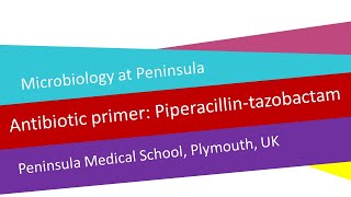 Antibiotic primer 5  piperacillintazobactam [upl. by Agna]