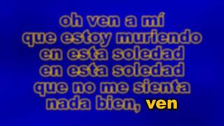 JUAN GABRIEL Querida karaoke [upl. by Gautious449]