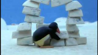 Pingu Pingu builds an Igloo [upl. by Leeke]