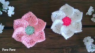 Crochet Flower I Crochet 6 Petals Flower I Crochet 3D Flower [upl. by Eniak]