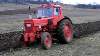 MTZ80 plowing [upl. by Tatianas]